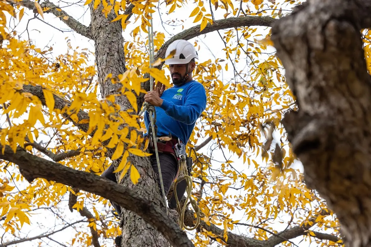 Skilled Storm Damage Cleanup crew working in Haskell
